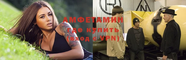 стаф Алзамай