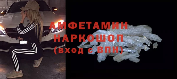 стаф Алзамай