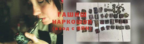 стаф Алзамай