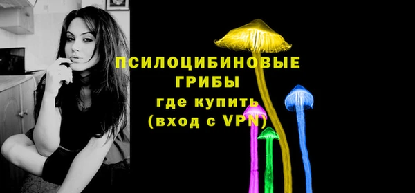 стаф Алзамай