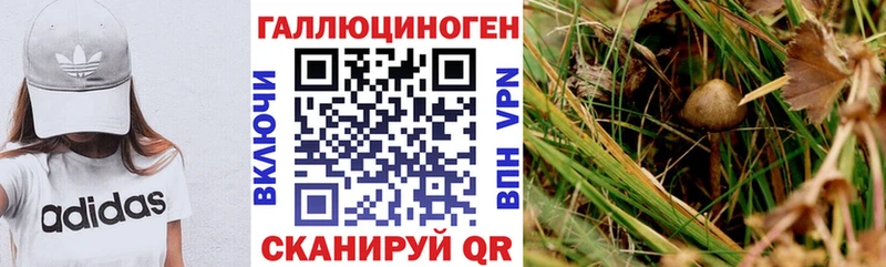Галлюциногенные грибы прущие грибы  Верещагино 
